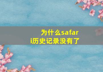 为什么safari历史记录没有了