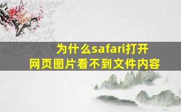 为什么safari打开网页图片看不到文件内容