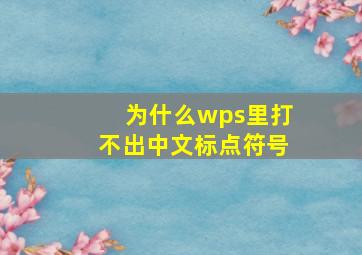 为什么wps里打不出中文标点符号