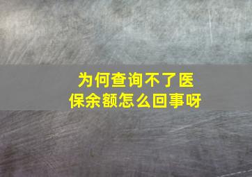 为何查询不了医保余额怎么回事呀