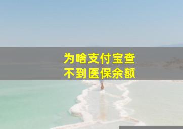 为啥支付宝查不到医保余额