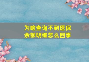 为啥查询不到医保余额明细怎么回事