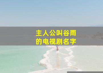 主人公叫谷雨的电视剧名字