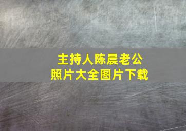 主持人陈晨老公照片大全图片下载