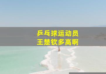 乒乓球运动员王楚钦多高啊