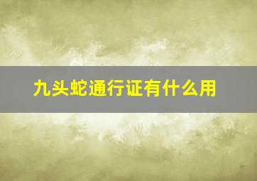 九头蛇通行证有什么用