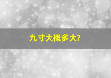 九寸大概多大?