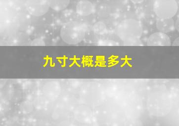 九寸大概是多大