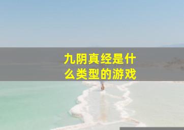 九阴真经是什么类型的游戏