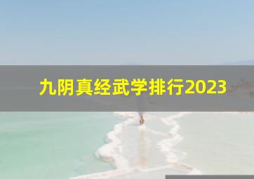 九阴真经武学排行2023