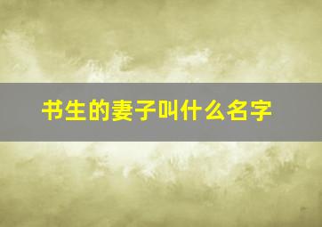 书生的妻子叫什么名字