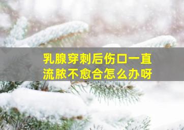 乳腺穿刺后伤口一直流脓不愈合怎么办呀