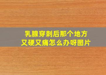 乳腺穿刺后那个地方又硬又痛怎么办呀图片