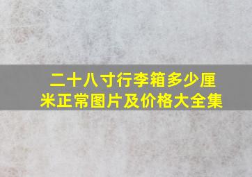 二十八寸行李箱多少厘米正常图片及价格大全集