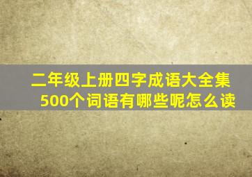 二年级上册四字成语大全集500个词语有哪些呢怎么读