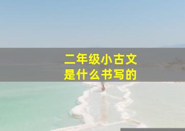 二年级小古文是什么书写的