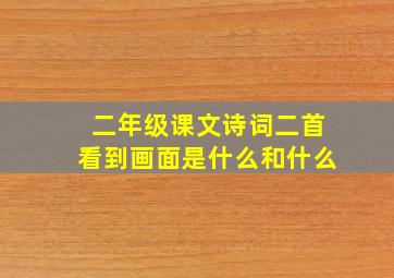 二年级课文诗词二首看到画面是什么和什么