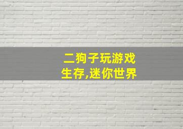 二狗子玩游戏生存,迷你世界