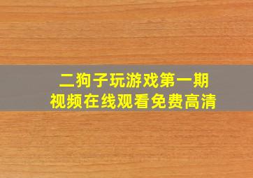 二狗子玩游戏第一期视频在线观看免费高清