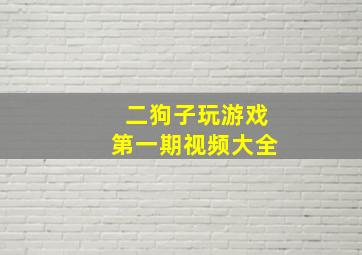 二狗子玩游戏第一期视频大全