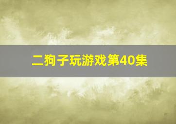 二狗子玩游戏第40集