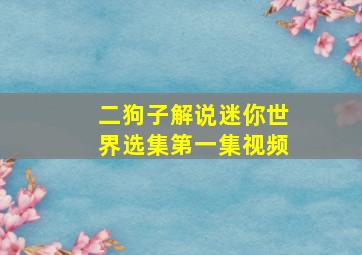 二狗子解说迷你世界选集第一集视频