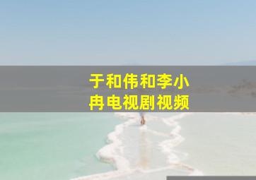 于和伟和李小冉电视剧视频