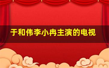 于和伟李小冉主演的电视