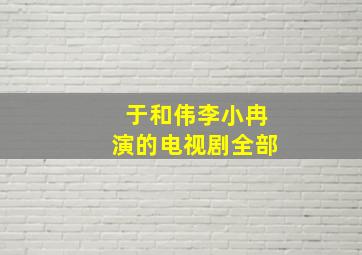 于和伟李小冉演的电视剧全部