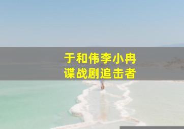 于和伟李小冉谍战剧追击者