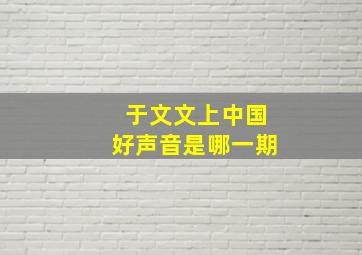 于文文上中国好声音是哪一期