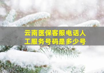 云南医保客服电话人工服务号码是多少号