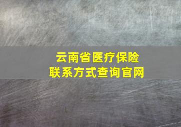 云南省医疗保险联系方式查询官网