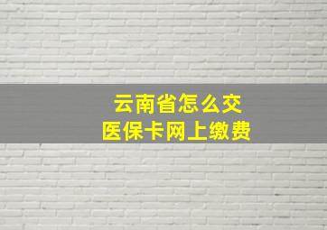 云南省怎么交医保卡网上缴费