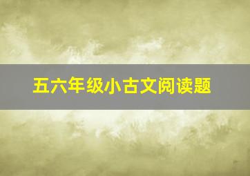 五六年级小古文阅读题