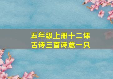 五年级上册十二课古诗三首诗意一只