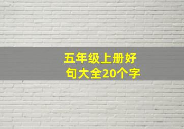 五年级上册好句大全20个字