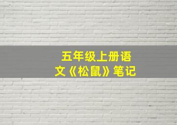 五年级上册语文《松鼠》笔记