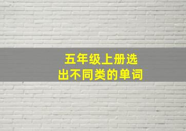 五年级上册选出不同类的单词