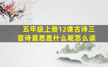 五年级上册12课古诗三首诗意思是什么呢怎么读