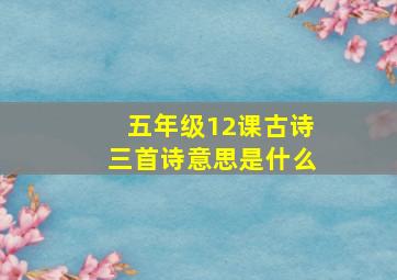 五年级12课古诗三首诗意思是什么