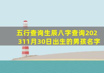 五行查询生辰八字查询202311月30日出生的男孩名字