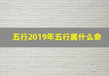 五行2019年五行属什么命