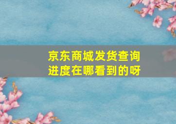 京东商城发货查询进度在哪看到的呀