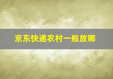 京东快递农村一般放哪