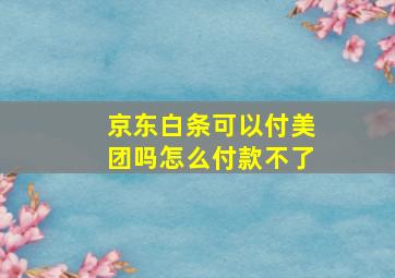 京东白条可以付美团吗怎么付款不了