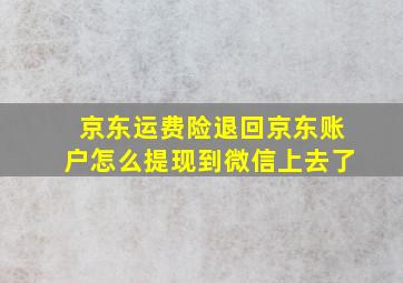 京东运费险退回京东账户怎么提现到微信上去了