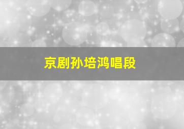 京剧孙培鸿唱段