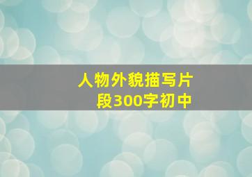 人物外貌描写片段300字初中