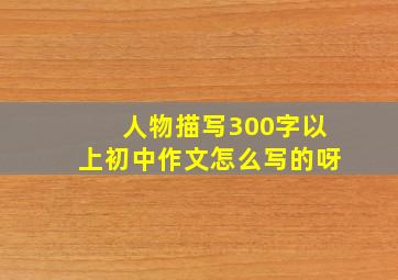 人物描写300字以上初中作文怎么写的呀